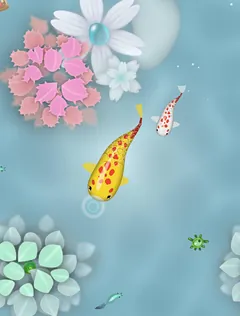 Carpa koi no Zen Koi Classic